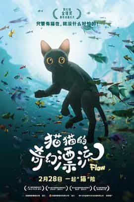猫猫的奇幻漂流 Straume