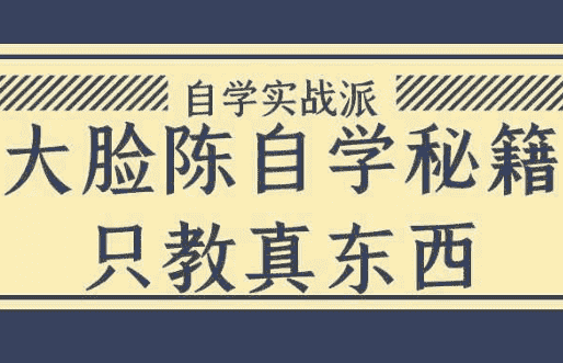 大脸陈自学秘籍只教真东西 【2.2GB】