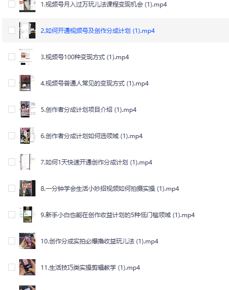 微信视频号超级变现实操课，每天1小时，轻松变现，宝妈职场人副业首选【1264M】