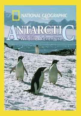 国家地理:南极冰原 Antarctic Wildlife Adventure