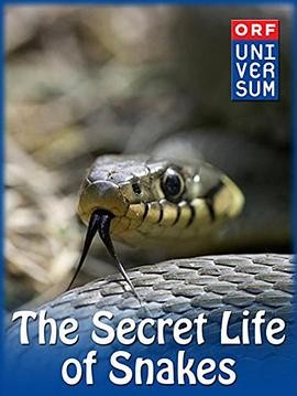 蛇的秘密生活 The Secret Life of Snakes