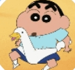 飞在天上